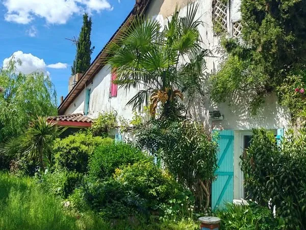 Maison Viager occupé à fort potentiel