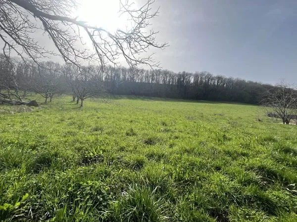 Terrain à bâtir de 0 pièces principales