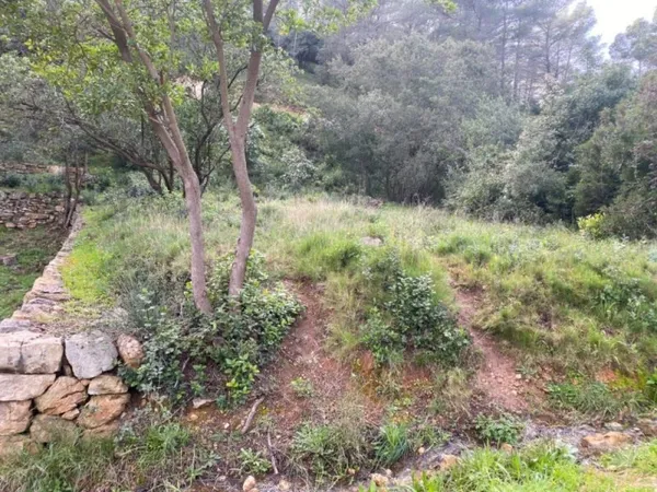Terrain 450 m²