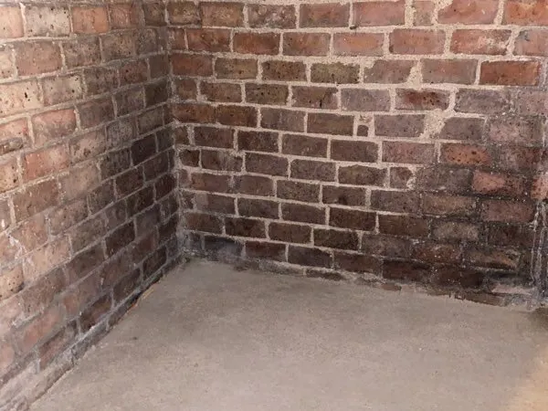 Cave de 4 m² à louer saine sécurisée - Paris 12e / Porte Dorée