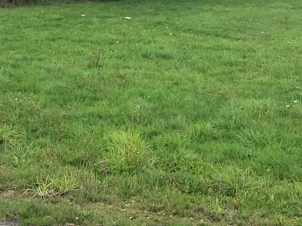 Terrain de 455 m² à Sucé-sur-Erdre