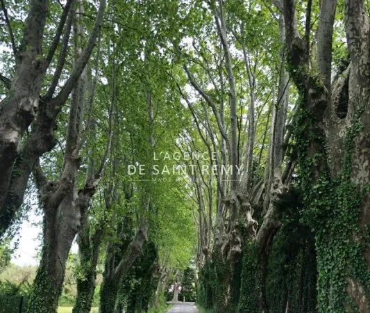 Vente terrain