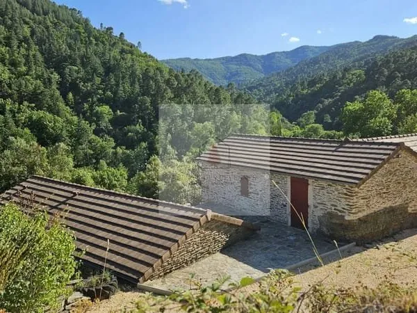 Maison en pierre terrain et vue