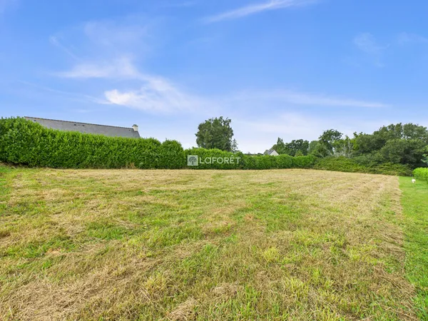 Terrain 1623 m²
