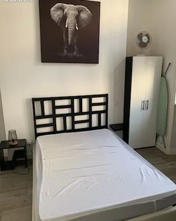 Loue T1 meublé hypercentre ROANNE