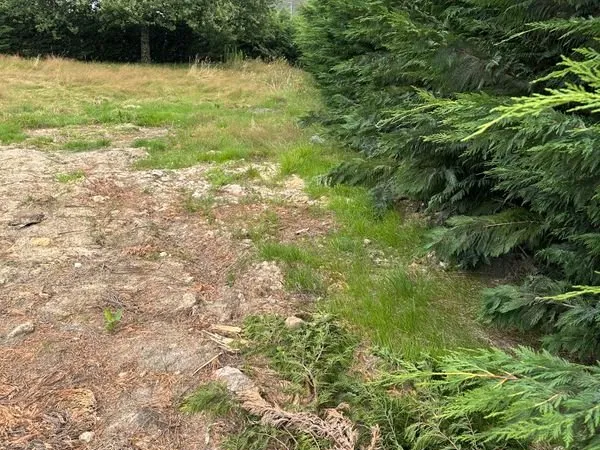 Terrain à vendre