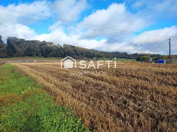Terrain de presque 8000m2