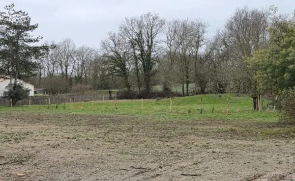Terrain 415 m²