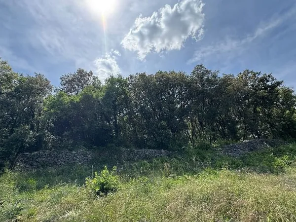 Terrain 5621 m²