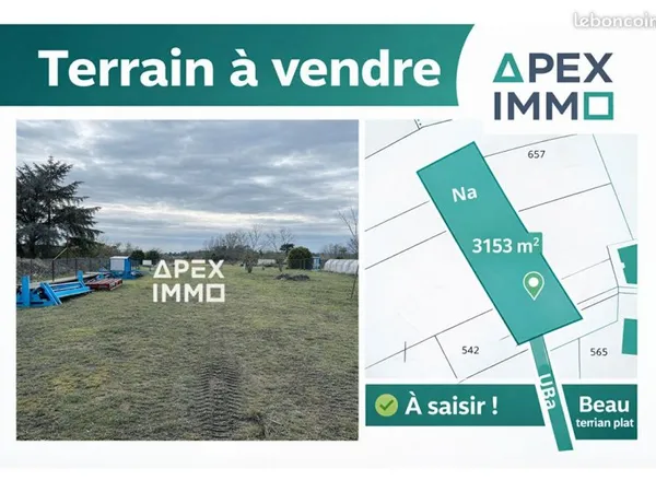 Terrain 3153 m² SAINT BENOIT SUR LOIRE