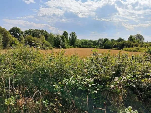 Terrain 4967 m²