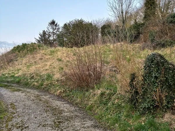 Terrain constructible / 950 m2 / Saint Valéry en Caux