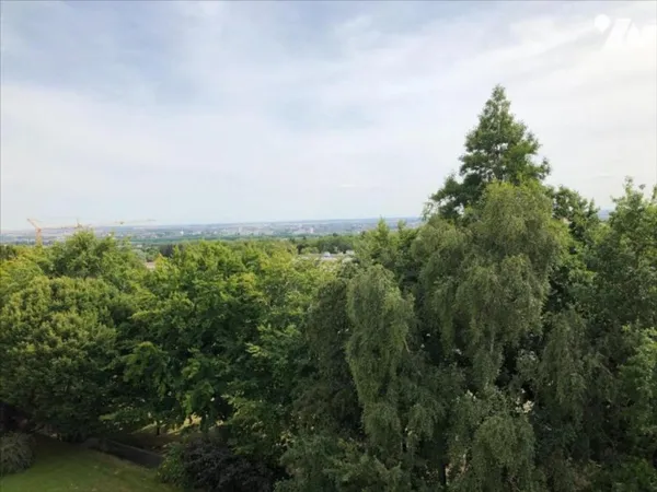 Appartement 1 pièce 33 m²