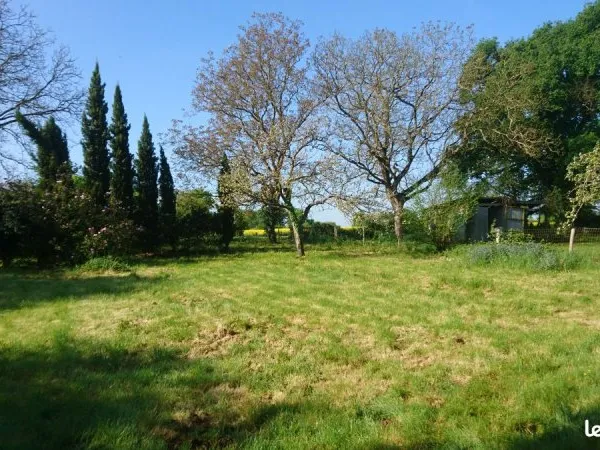 Terrain constructible + Abri de jardin