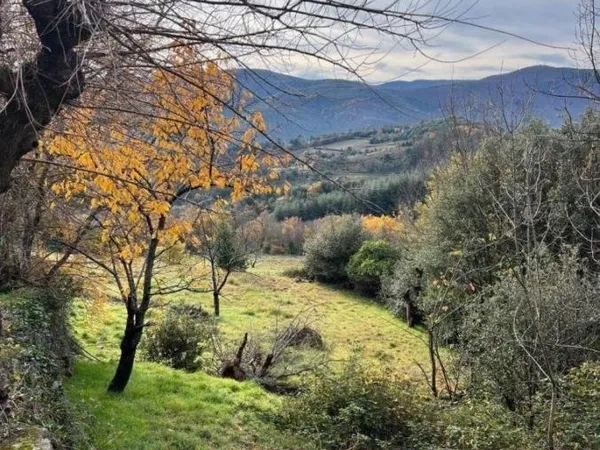 Terrain en individuel 8535 m²