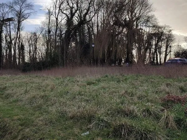 Terrain 323 m²