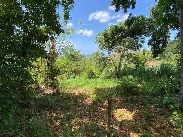 Terrain 776 m²