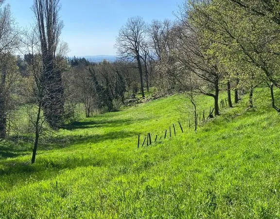 Terrain 5000 m²