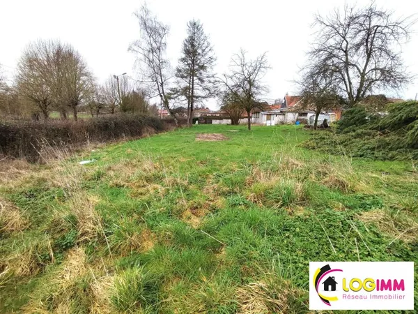 Terrain constructible