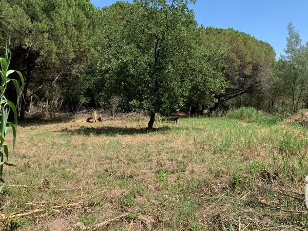 Terrain 559 m²
