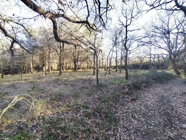 Argelès-sur-mer - Terrain Agricole 3705 m2