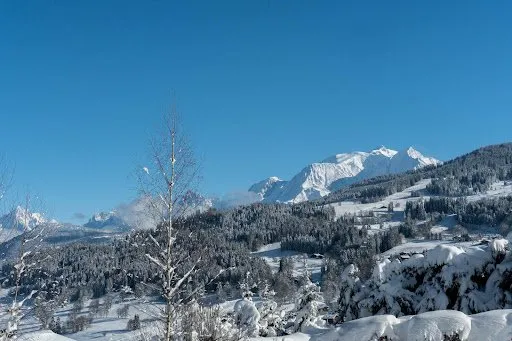 Terrain 404 m²