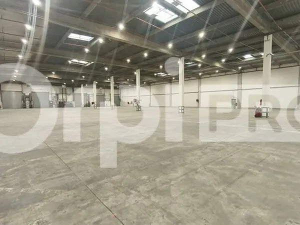 Local d'activité 8577 m²