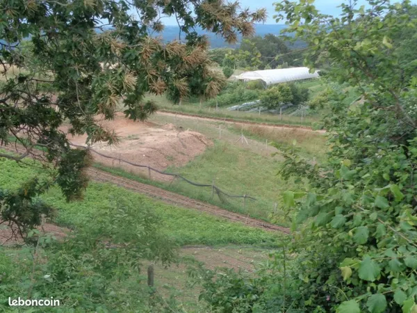 Maraichage