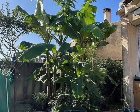 Maison 7 pièces 119 m²
