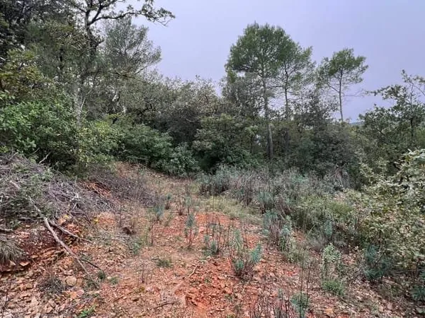 A vendre terrain à bâtir Garéoult 1828 m2