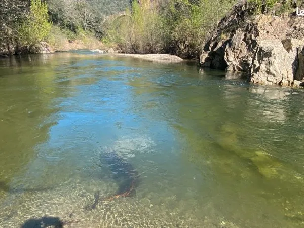 Mazet au bord d'une rivière dans un coin de paradis (terrain de loisirs)
