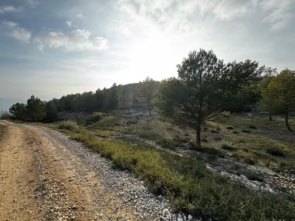 Terrain de loisir