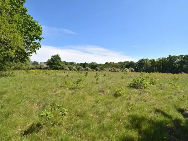 Terrain à bâtir