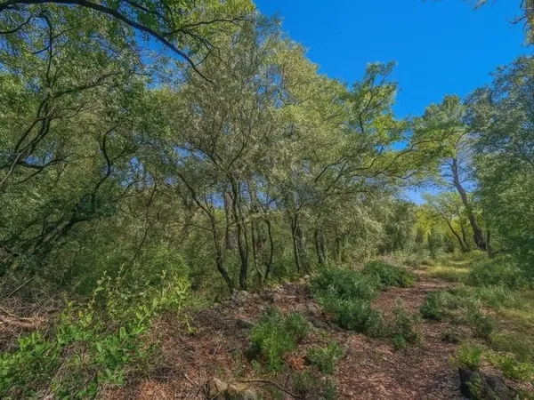 Terrain Zone naturelle Lorgues 8429 m2