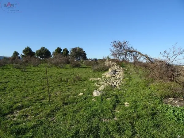 Terrain agricole