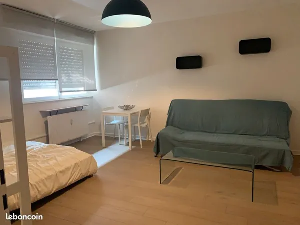 F1 30m² calme et rénové - Hyper centre rare - Strasbourg