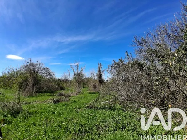 Terrain 4000 m²