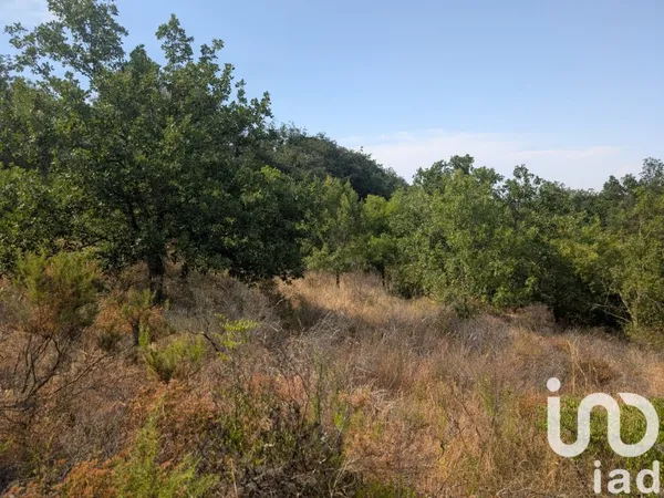 Terrain 6500 m²