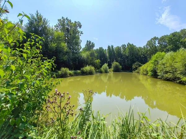 Propriété rurale de charme et son étang , au coeur de la nature !