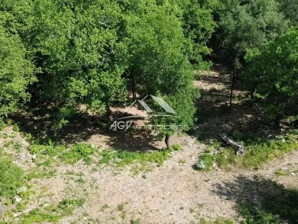 CENDRAS - Environ 5000 m² de terrain constructible