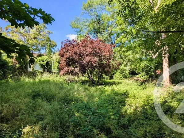 Terrain 244 m²