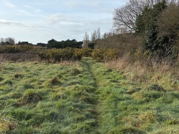 Terrain 1213 m²