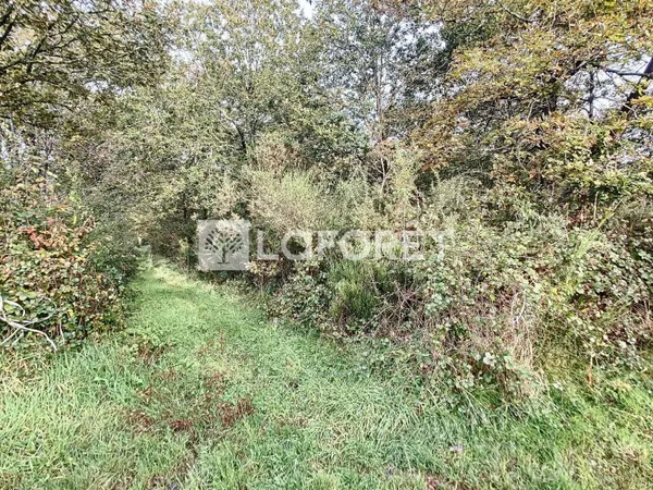 Terrain 1550 m²