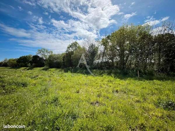 Terrain 577 m² AVRILLE