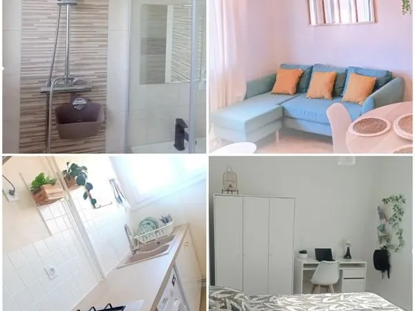 T3 meublé rénové 55 m² - 2 chambres - lumineux - proche gare et centre-ville
