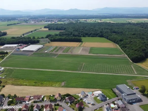 Terrain 689 m² Bindernheim