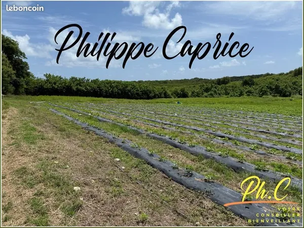 Terrain 2 000 m² Le Vauclin