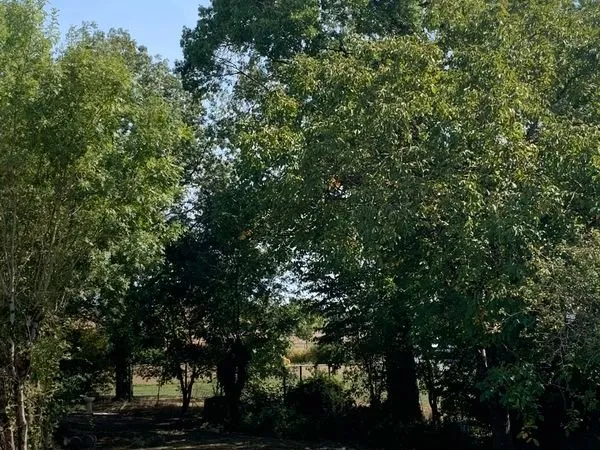 Belle Parcelle de 672 m2