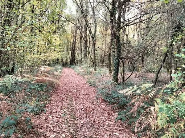 Terrain 5130 m²
