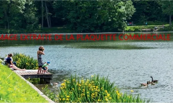 Achat : Appartement (77400)